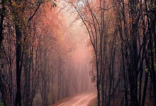 宣武醫(yī)院北京跑腿代辦服務(wù)	順義區(qū)代掛專家號，減少患者等待就醫(yī)的時間的簡單介紹