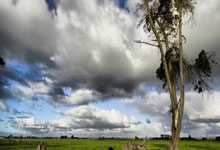 北京友誼醫(yī)院、房山區(qū)代掛號(hào)，誠信快速貼心服務(wù)的簡(jiǎn)單介紹