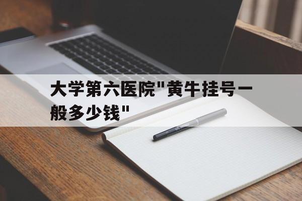 包含大學第六醫院"黃牛掛號一般多少錢"的詞條